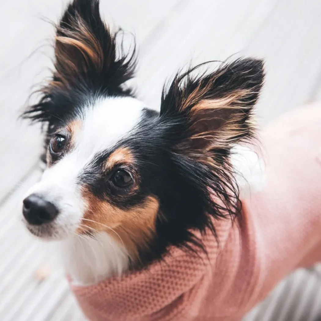 Hunter Röglatrøje 25 Rosa