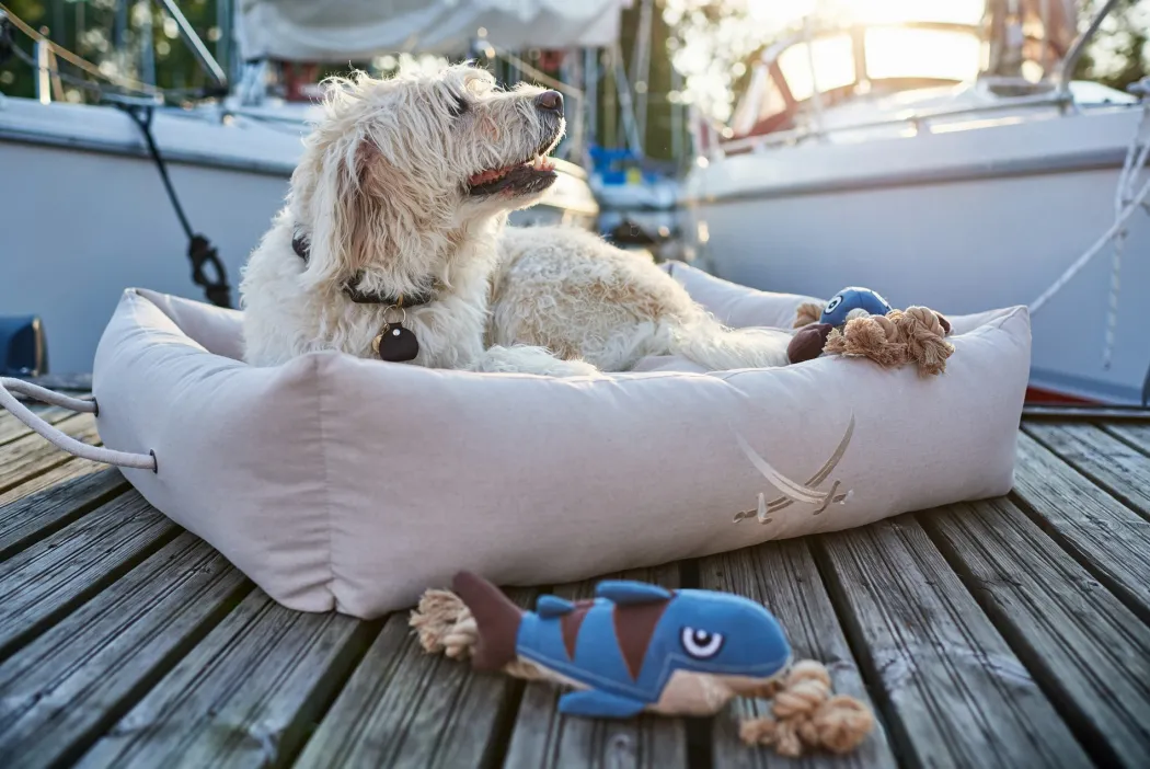 Hunter Sansibar Solid 55 Hundehalsbånd i læder - 43-49 cm
