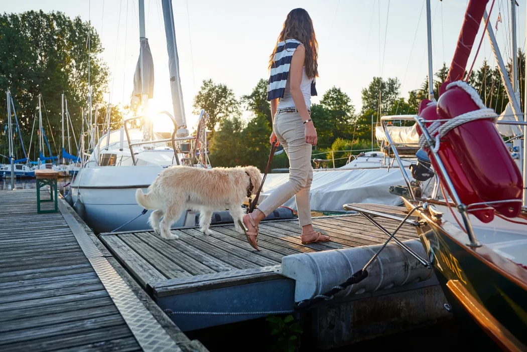 Hunter Sansibar Solid 60 Hundehalsbånd i læder - 48-54 cm