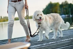 Hunter Sansibar Solid 65 Hundehalsbånd i læder - 52-59 cm