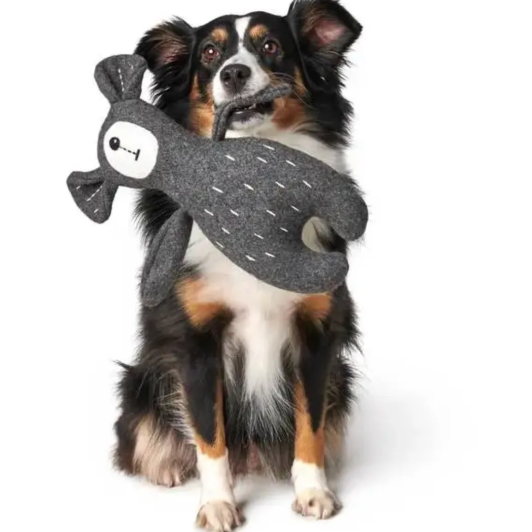Hunter Tirana Bjørn M - bamse til mellemstore hunde