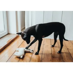 Hunter Tirana Lama S - bamse til små hunde