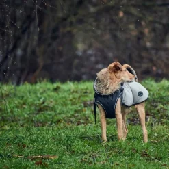 Hunter Uppsala Hundefrakke Grå 55 cm