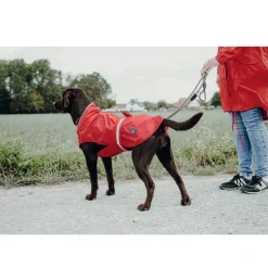 Hunter Uppsala Regnfrakke Rød 60 cm
