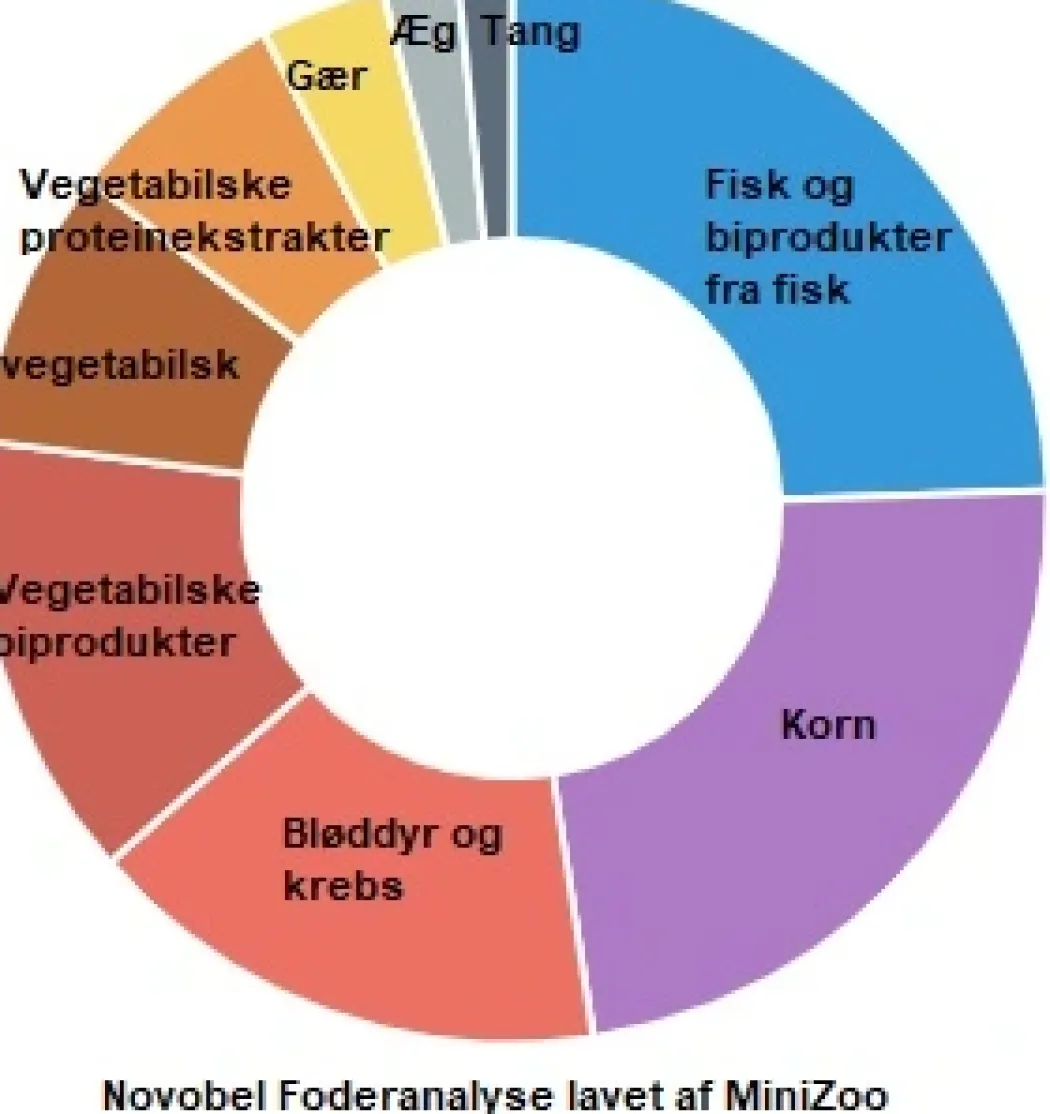 JBL ProNovo Bel fiskefoder 100 ml Flagefoder