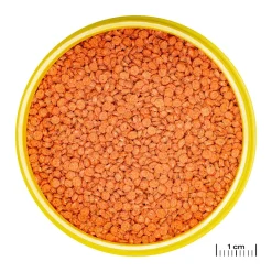 JBL ProNovo Bits Diskus Grano M 250 ml Click