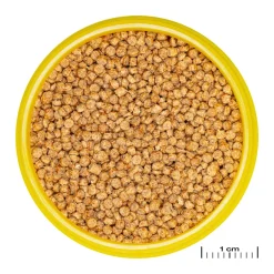 JBL ProNovo Cichlid S Grano 100 ml Klik