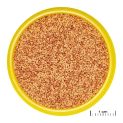 JBL ProNovo Color Grano S 100 ml