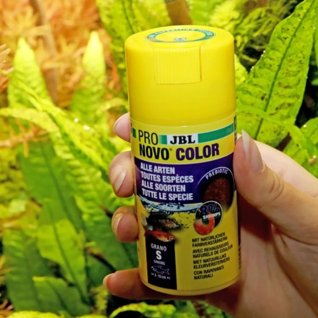 JBL ProNovo Color Grano S 100 ml