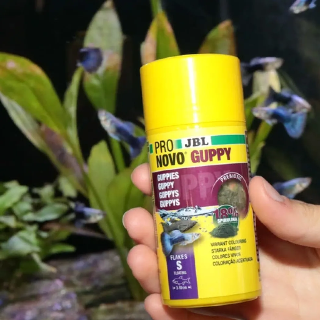 JBL ProNovo Guppy fiskefoder 100 ml Flagefoder