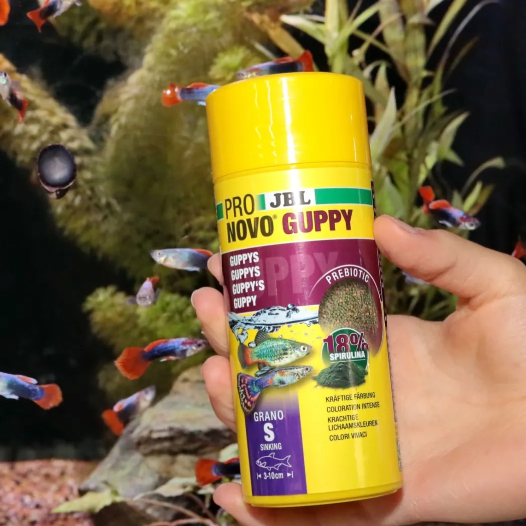 JBL ProNovo Guppy Grano S 250 ml Click