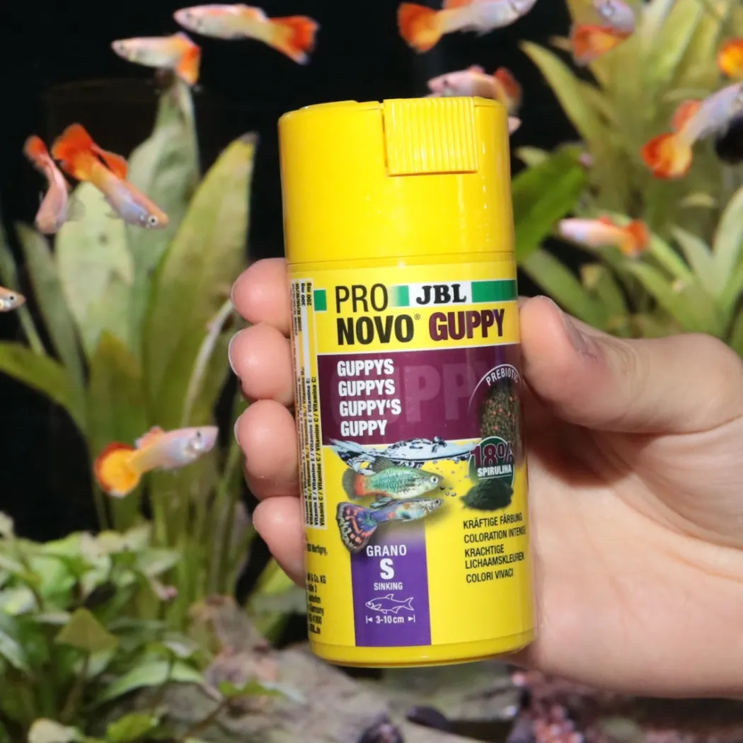 JBL ProNovo Guppy Grano S 250 ml Click