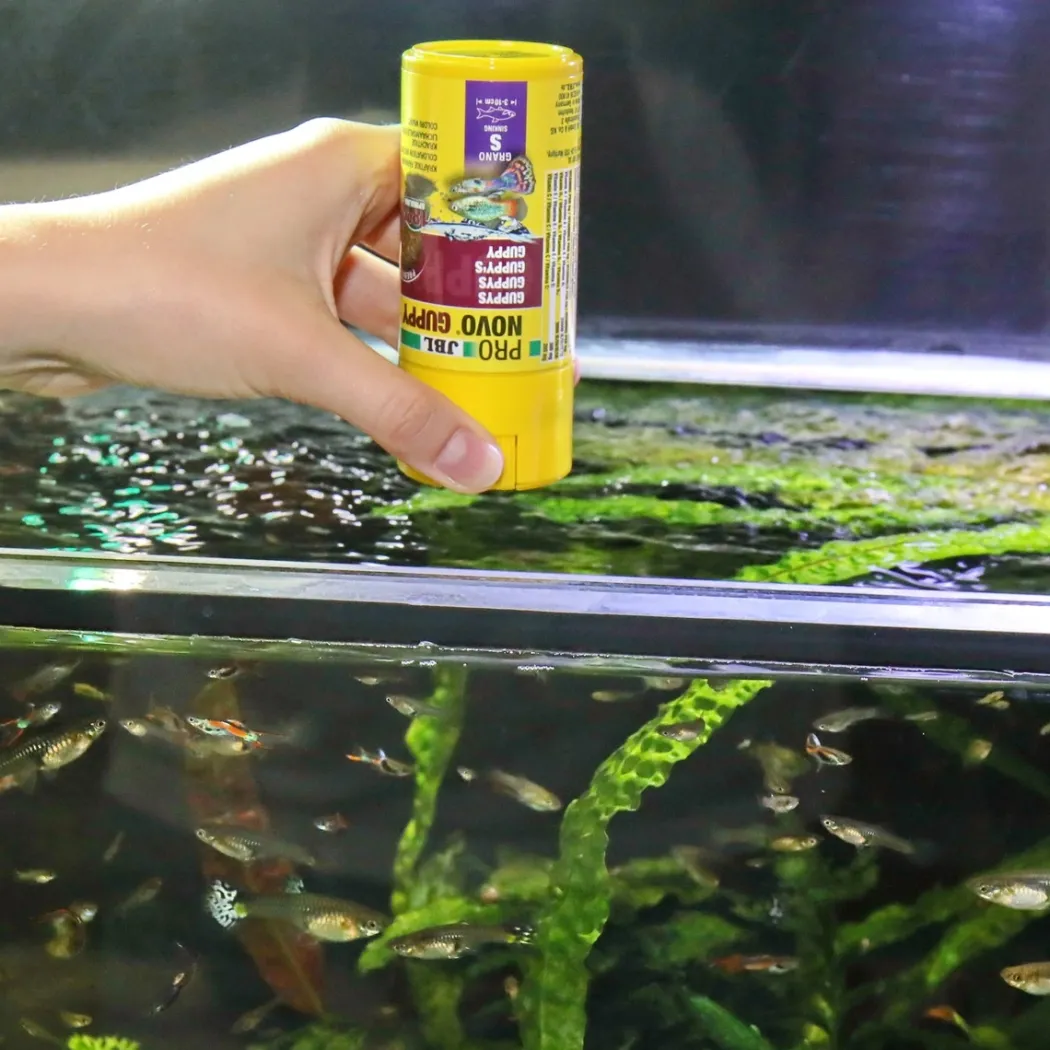 JBL ProNovo Guppy Grano S 250 ml Click