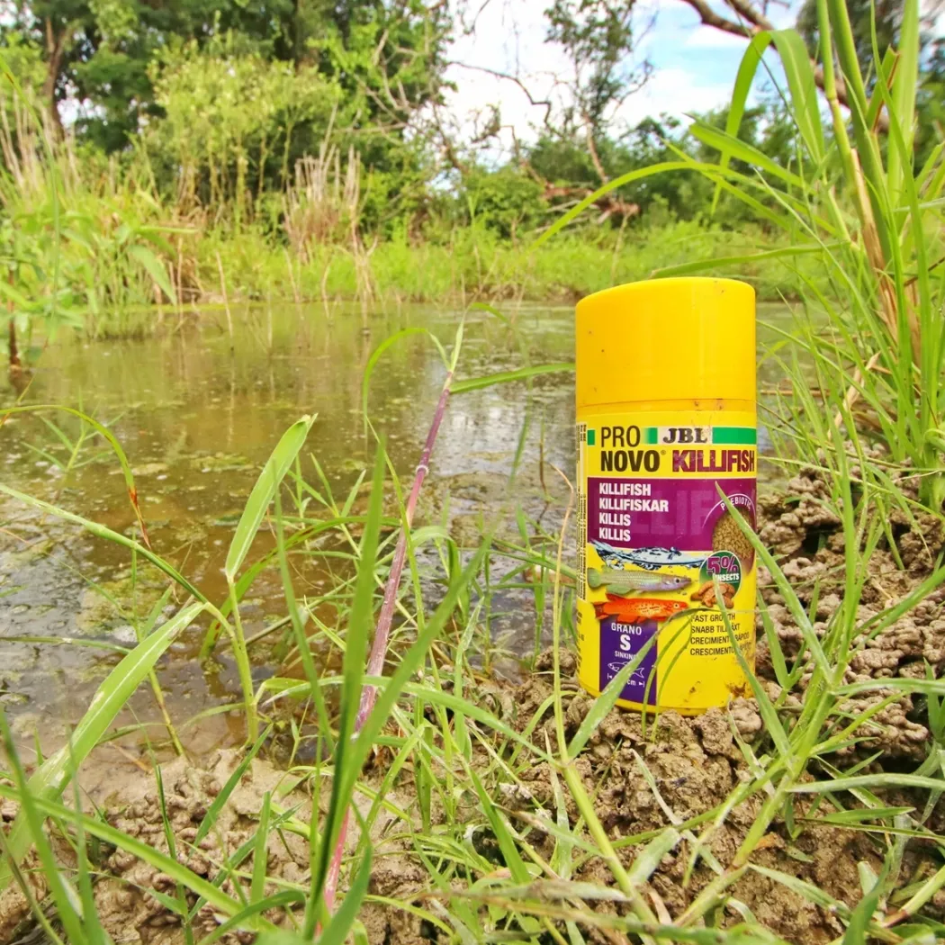 JBL ProNovo Killi fisk Grano S 100 ml