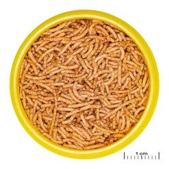 JBL ProNovo Red Insect S 100 ml Click