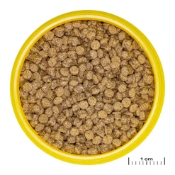 JBL ProNovo Slørhale Foderpille Grano M 250 ml Click