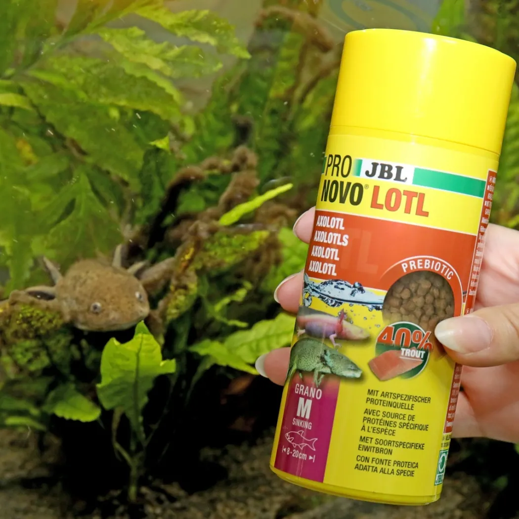 JBL NovoLotl M 250 ml (Til Axolotl)
