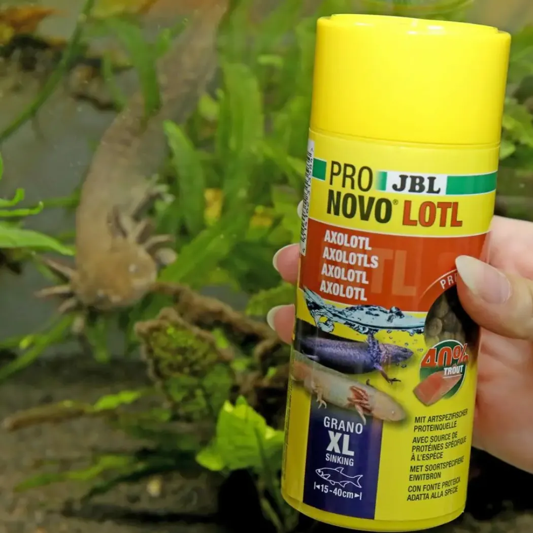 JBL ProNovo Lotl XL 250 ml Axolotl foder