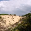 JBL TerraSand (gul) 7,5 kg