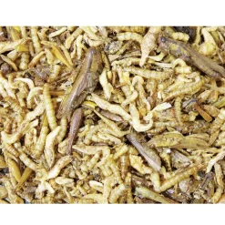 JR Farm Protein Cocktail Dåse 75 g
