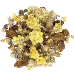 JR Farm Tiny Treats Silkeorm Mix 100g
