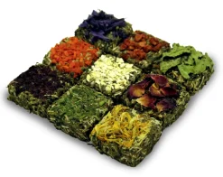 JR Grainless Gnavertapas 125 gram