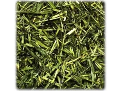JR Grøn Havre 100 g