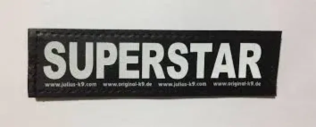 Julius K9 hundeskilt SUPERSTAR stor