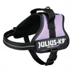 Julius K9 IDC hundesele str 1 Lilla