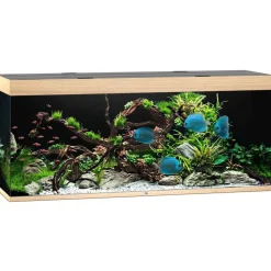 Juwel Akvarium Led Rio 450 Eg 151x51x66 cm 450 L
