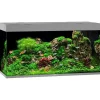Juwel Akvarium Led Rio 350 Grå 121x51x66 cm 350 L