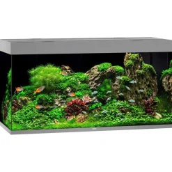 Juwel Akvarium Led Rio 350 Grå 121x51x66 cm 350 L