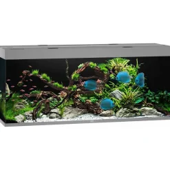 Juwel Akvarium Led Rio 450 Grå 151x51x66 cm 450 L