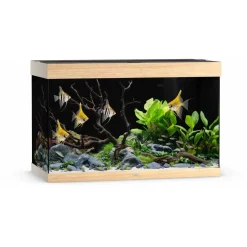Juwel Akvarium Led Rio 290 Liter Eg