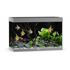 Juwel Akvarium Led Rio 290 Liter Grå