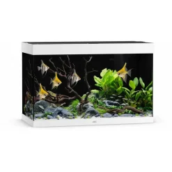 Juwel Akvarium Led Rio 290 Liter Hvid