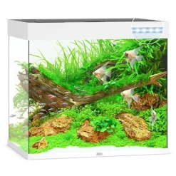 Juwel Akvarium Lido 200 Liter i Hvid 70x51x65 cm