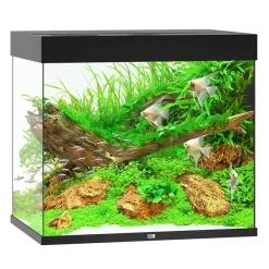 Juwel Akvarium Lido 200 Liter i Sort 70x51x65 cm
