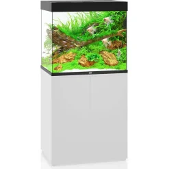 Juwel Akvarium Lido 200 Liter i Sort 70x51x65 cm