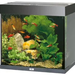 Juwel Akvarium Lido 120 Liter Sort 61x41x58 cm