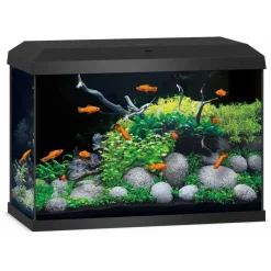 Juwel Akvarium Primo 70 2.0 Sort