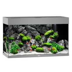 Juwel Akvarium Rio 125 Grå
