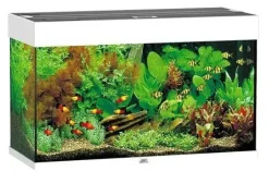 Juwel Akvarium Rio 125 Hvid