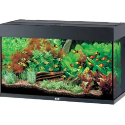 Juwel Akvarium Rio 125 Sort
