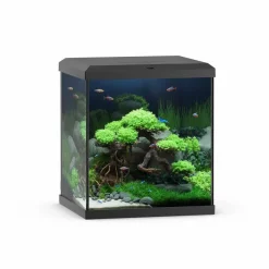 Juwel Akvarium Vio Cube 54 Sort 41x36x47 cm
