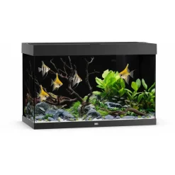 Juwel Aquarium LED Rio 290 Liter Sort