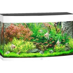 Juwel Aquarium VISION 180 Hvid