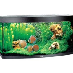 Juwel Aquarium VISION 260 LED Sort