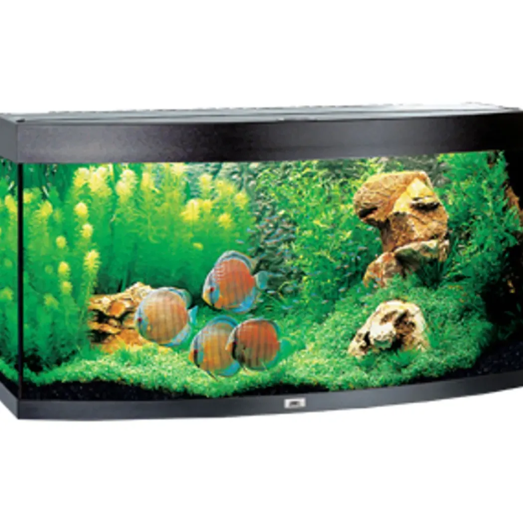 Juwel Aquarium VISION 260 LED Sort