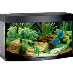 Juwel Aquarium VISION 180 Sort